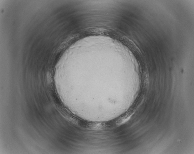 X0000081620131200702121649