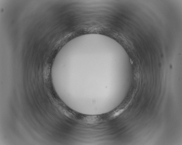 X0000081620133200702121649