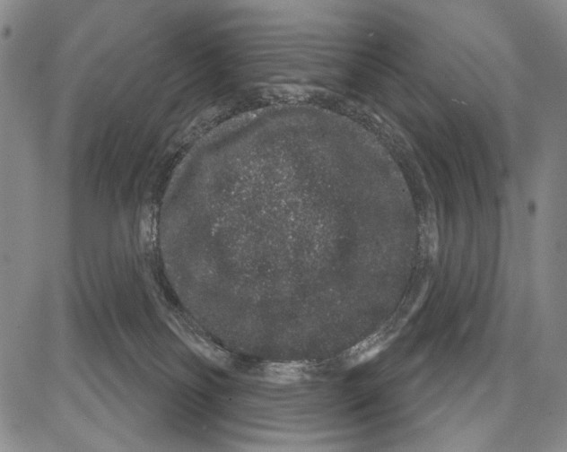 X0000081620134200702121649