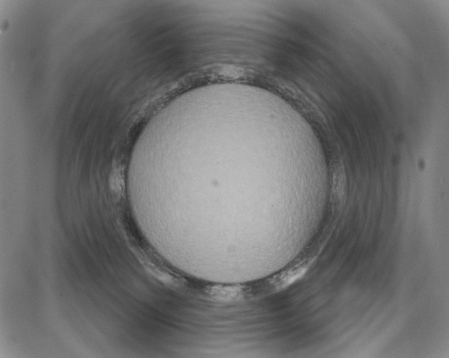 X0000081620135200702121649