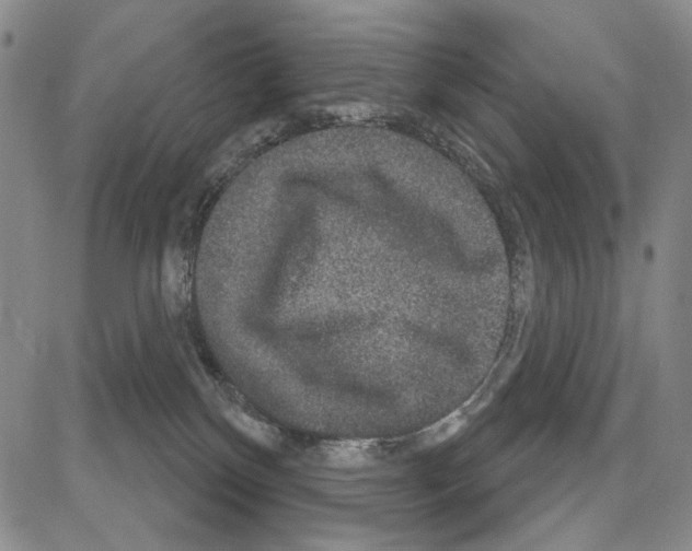 X0000081620136200702121649