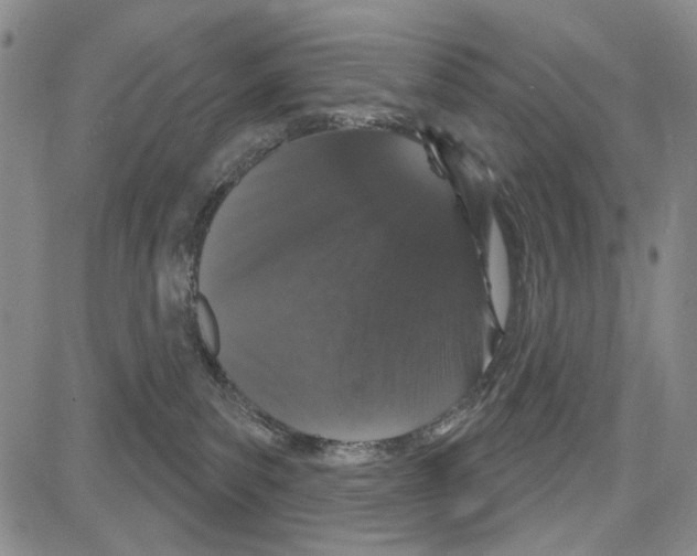 X0000081620139200702121649