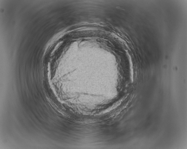 X0000081620149200702121648
