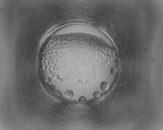 X0000081620151200702121648