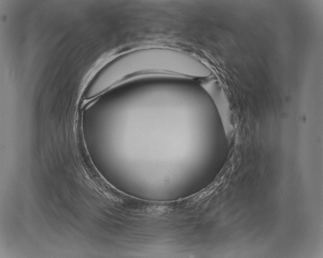 X0000081620152200702121648