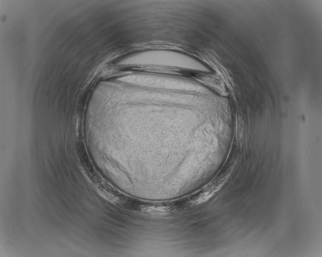 X0000081620157200702121648