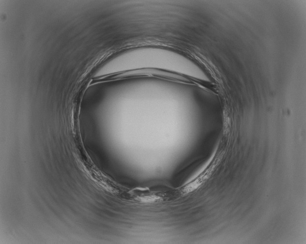 X0000081620158200702121648