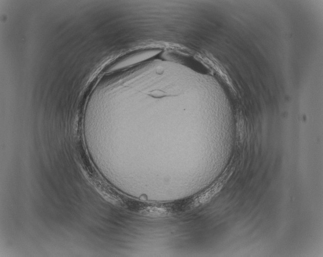 X0000081620159200702121648