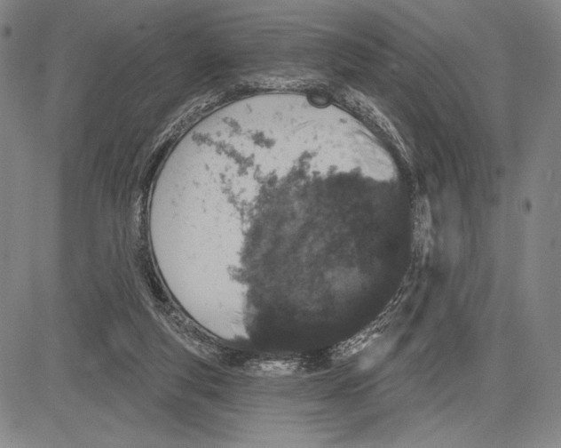 X0000081620163200702121648