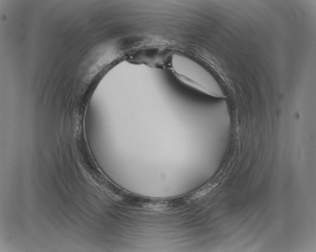 X0000081620164200702121648