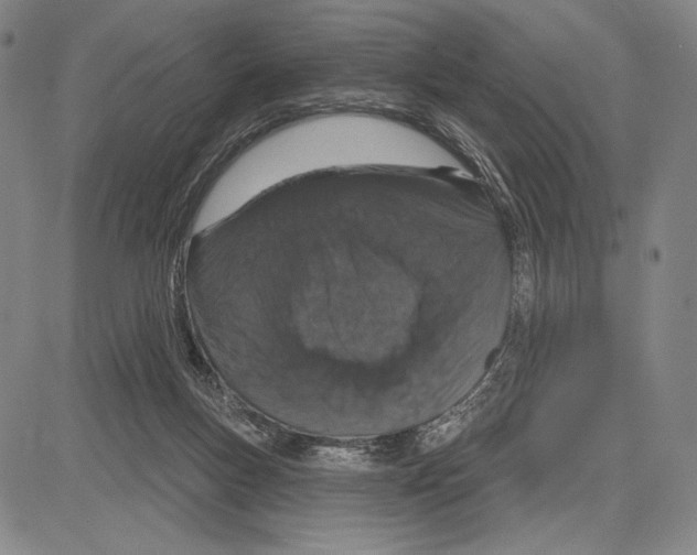 X0000081620167200702121648