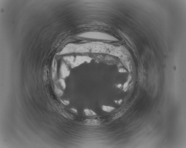X0000081620169200702121648