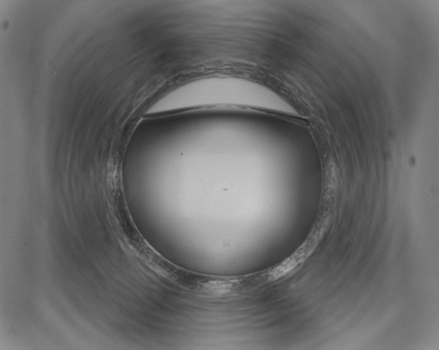 X0000081620176200702121649