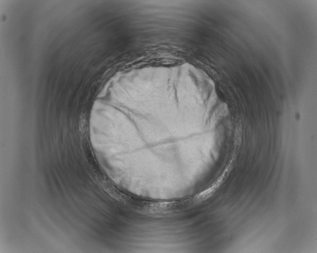 X0000081620178200702121649