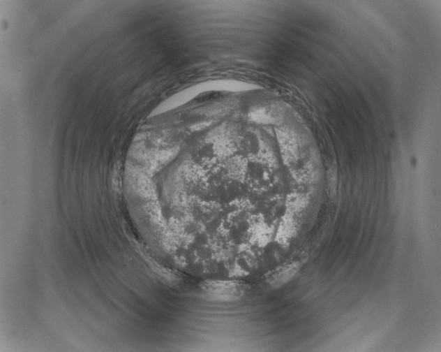X0000081620181200702121649
