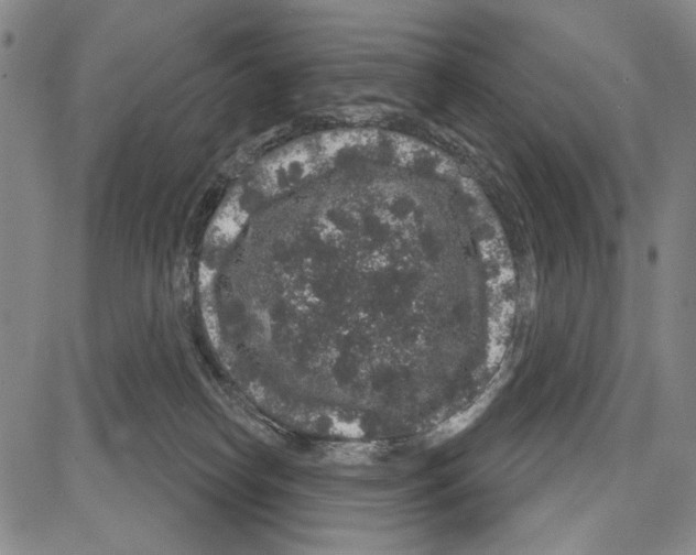X0000081620182200702121649