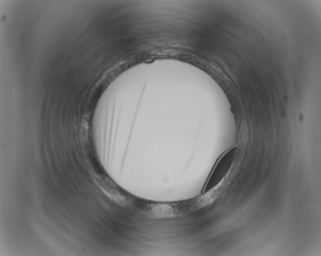 X0000081620183200702121649