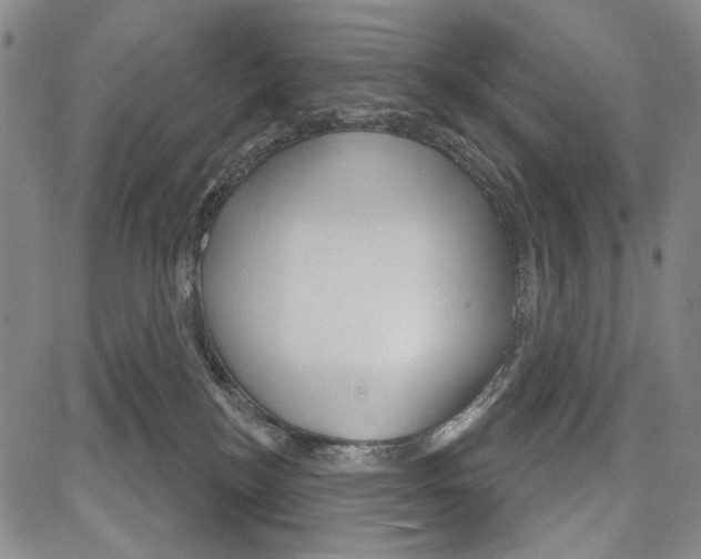 X0000081620184200702121649