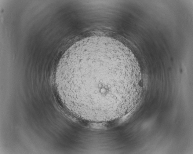 X0000081620187200702121649
