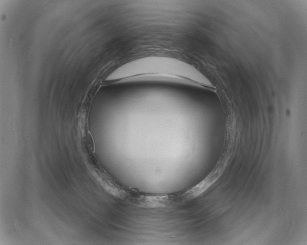 X0000081620188200702121649