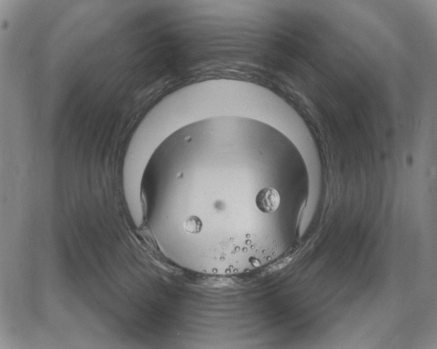 X0000081620189200702121649