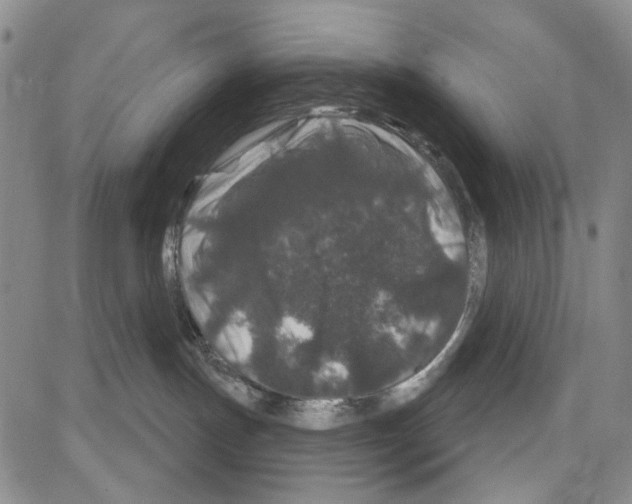 X0000081620191200702121649