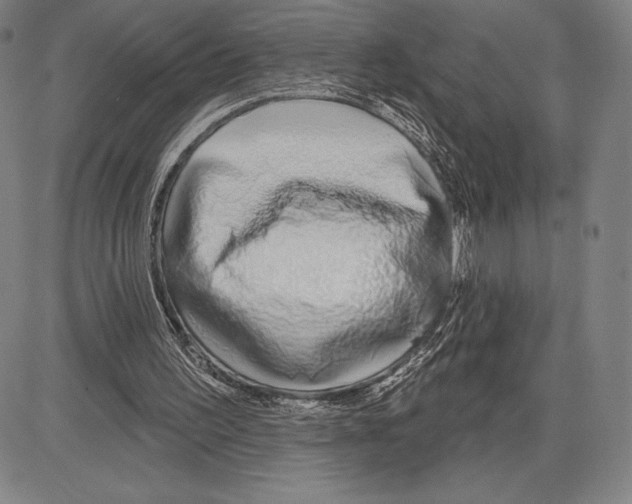 X0000081620195200702121648