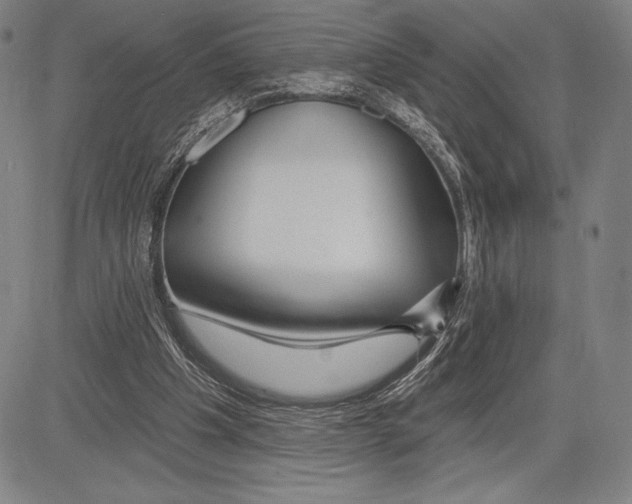 X0000081620201200702121648