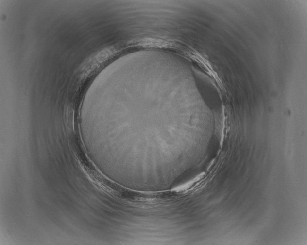 X0000081620205200702121648