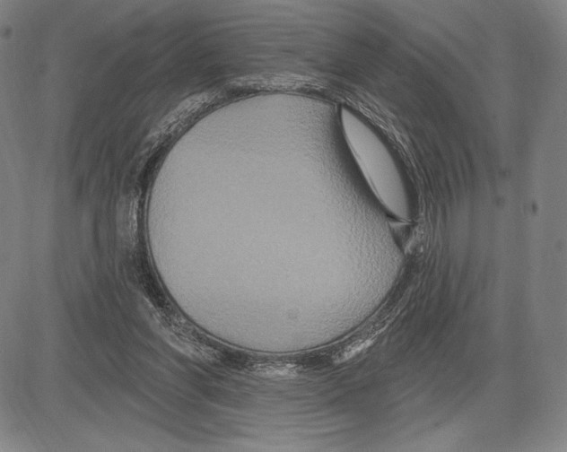 X0000081620206200702121648