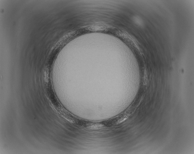 X0000081620210200702121648
