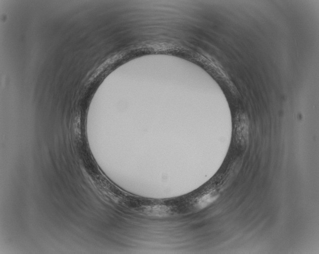 X0000081620212200702121648