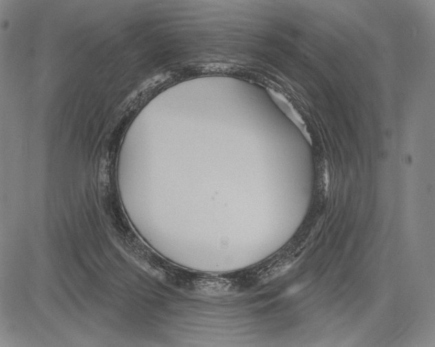 X0000081620215200702121648