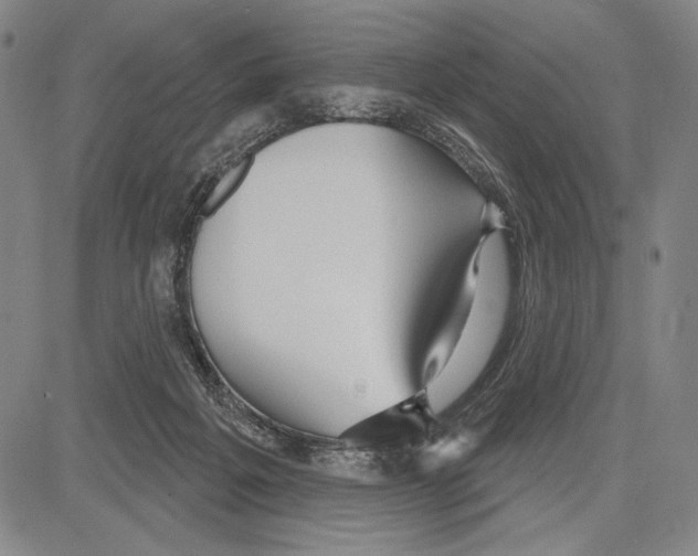 X0000081620217200702121648