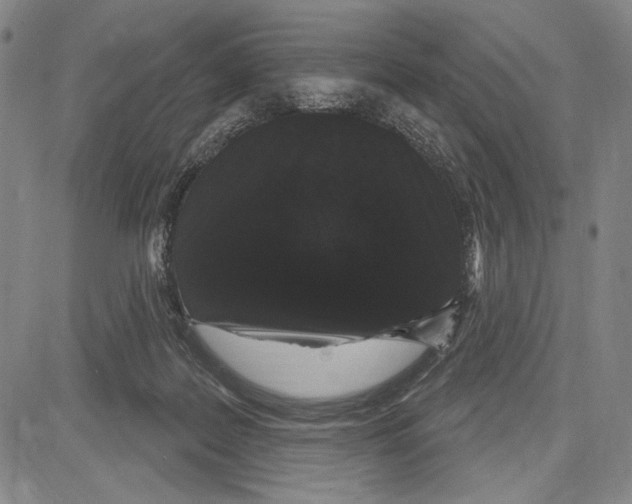 X0000081620219200702121648