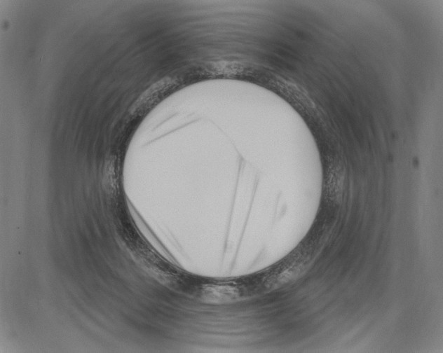 X0000081620220200702121648