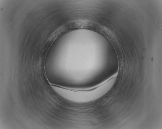 X0000081620221200702121648