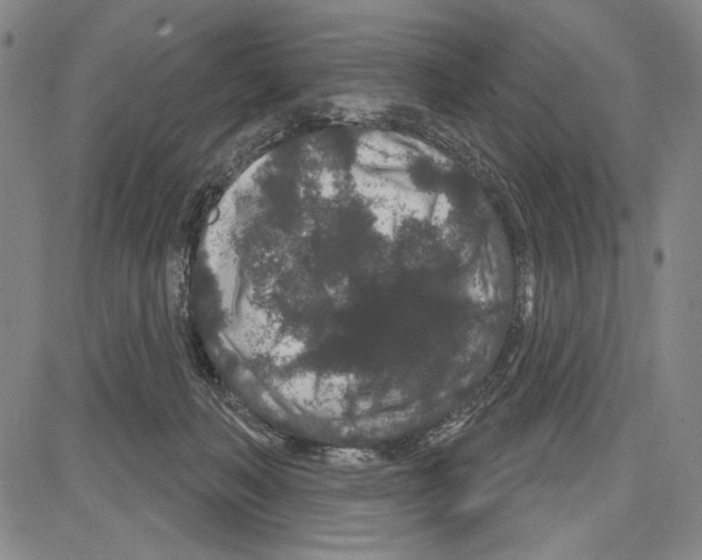 X0000081620222200702121648