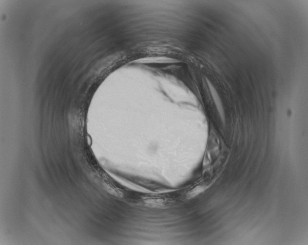 X0000081620228200702121647