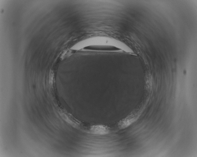 X0000081620231200702121647