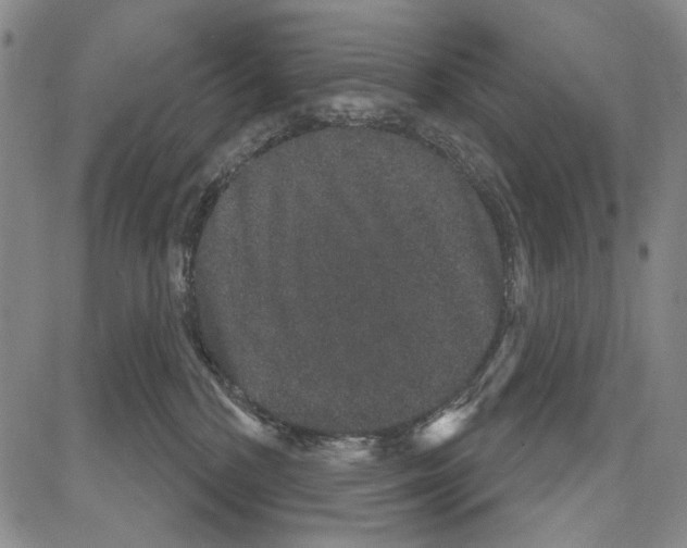 X0000081620232200702121647