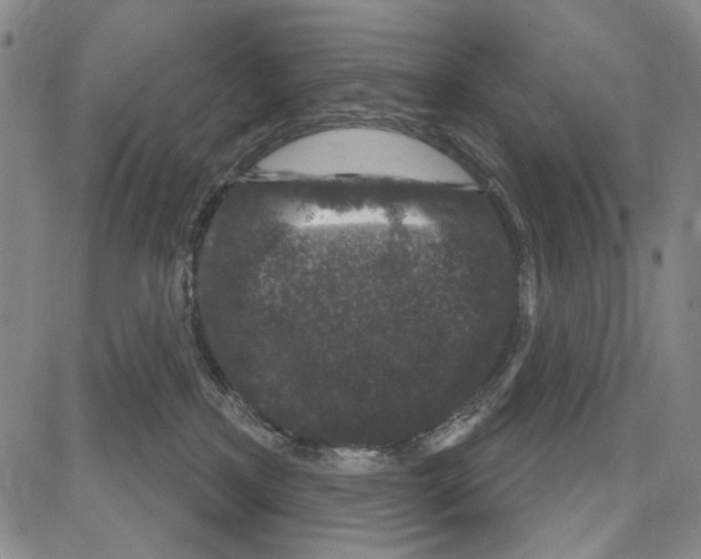 X0000081620233200702121647