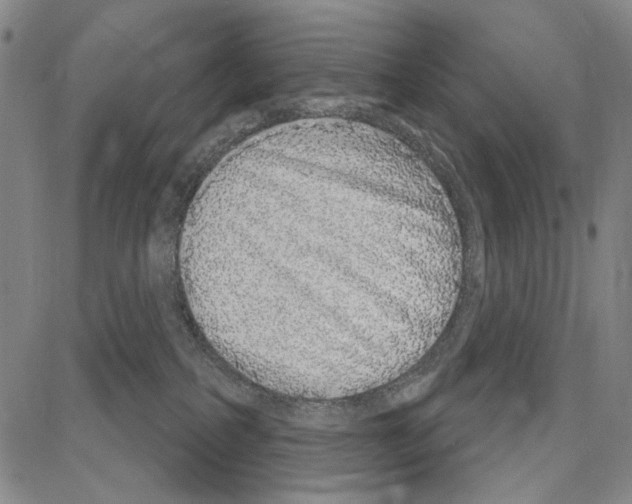 X0000081620234200702121647