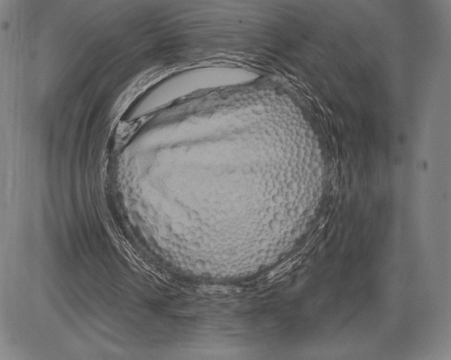 X0000081620242200702121647