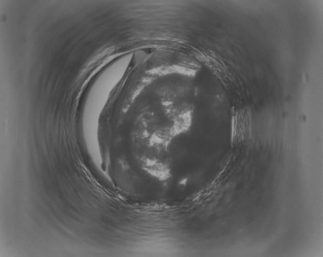 X0000081620243200702121647