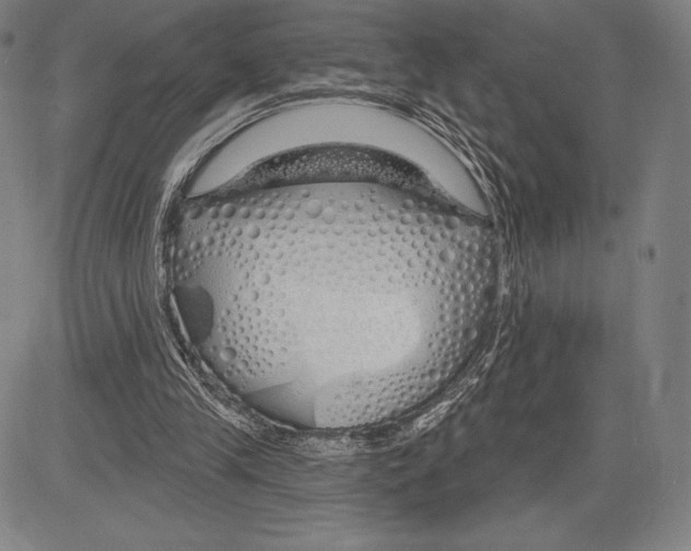 X0000081620245200702121647