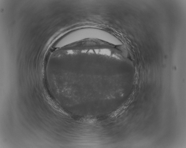 X0000081620247200702121647