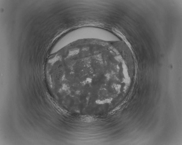 X0000081620249200702121647