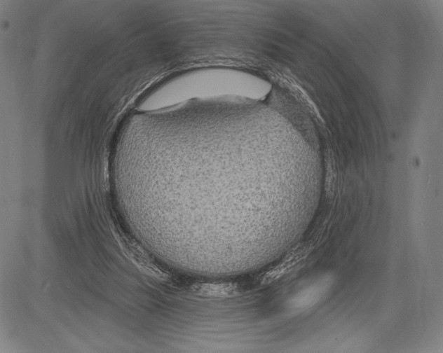 X0000081620251200702121647