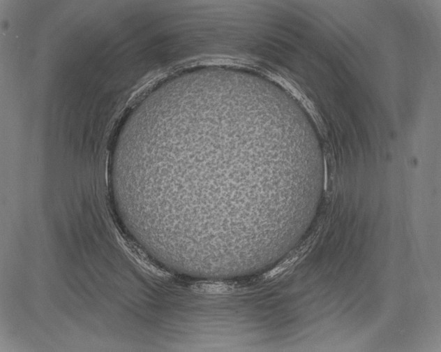 X0000081620253200702121647